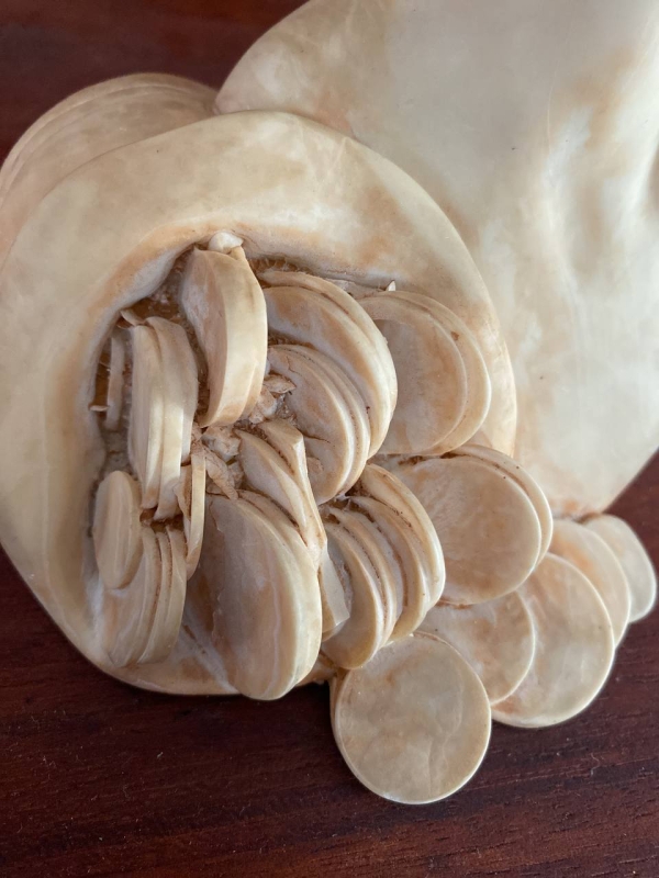 Vintage Neapolitan Bust of the Blindfolded Goddess of Fortune with Coins — Alabaster or Marble-Effect Composite, Italy, 1950s–1960s
